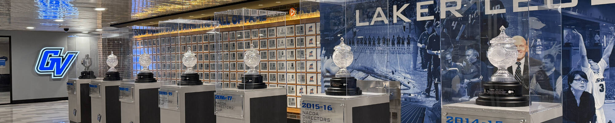 Director Cup
